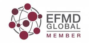 efmd-logo-large efmd-logo-large